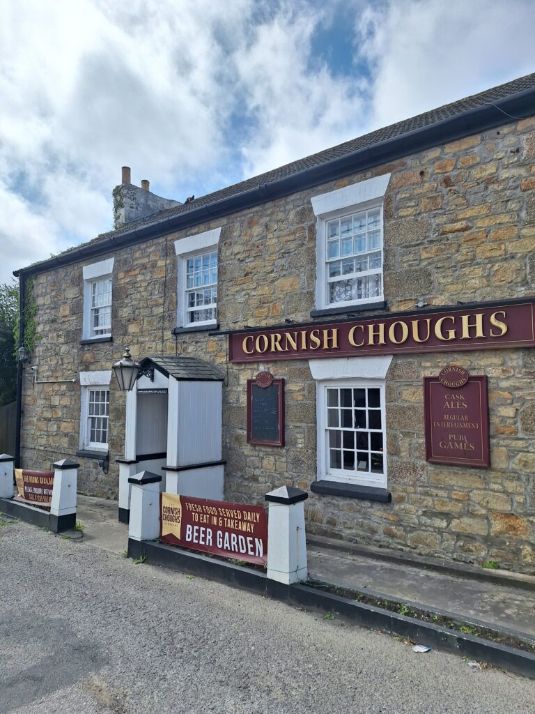 Cornish Choughs, Camborne