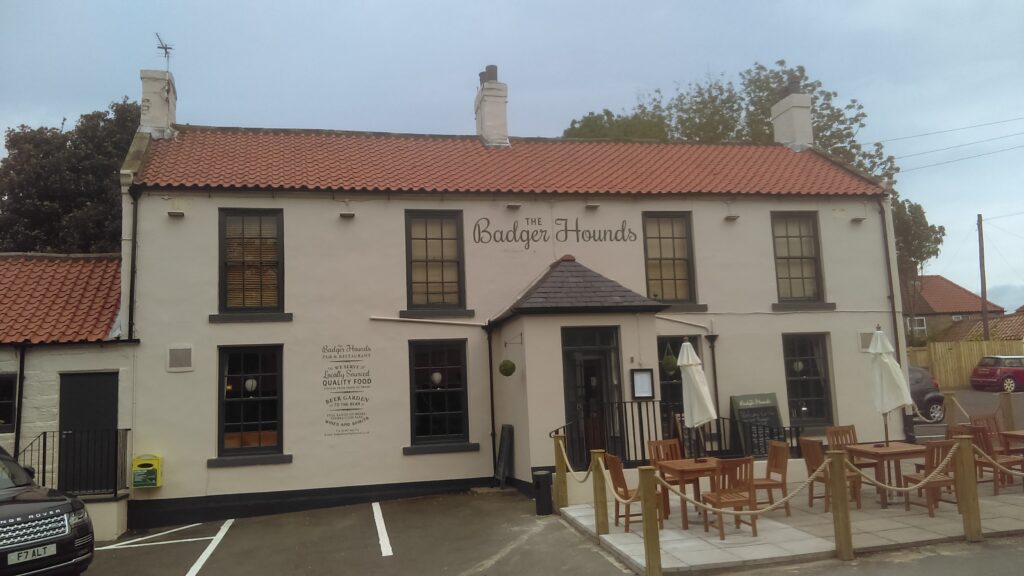 Badger Hounds, Saltburn-by-the-sea