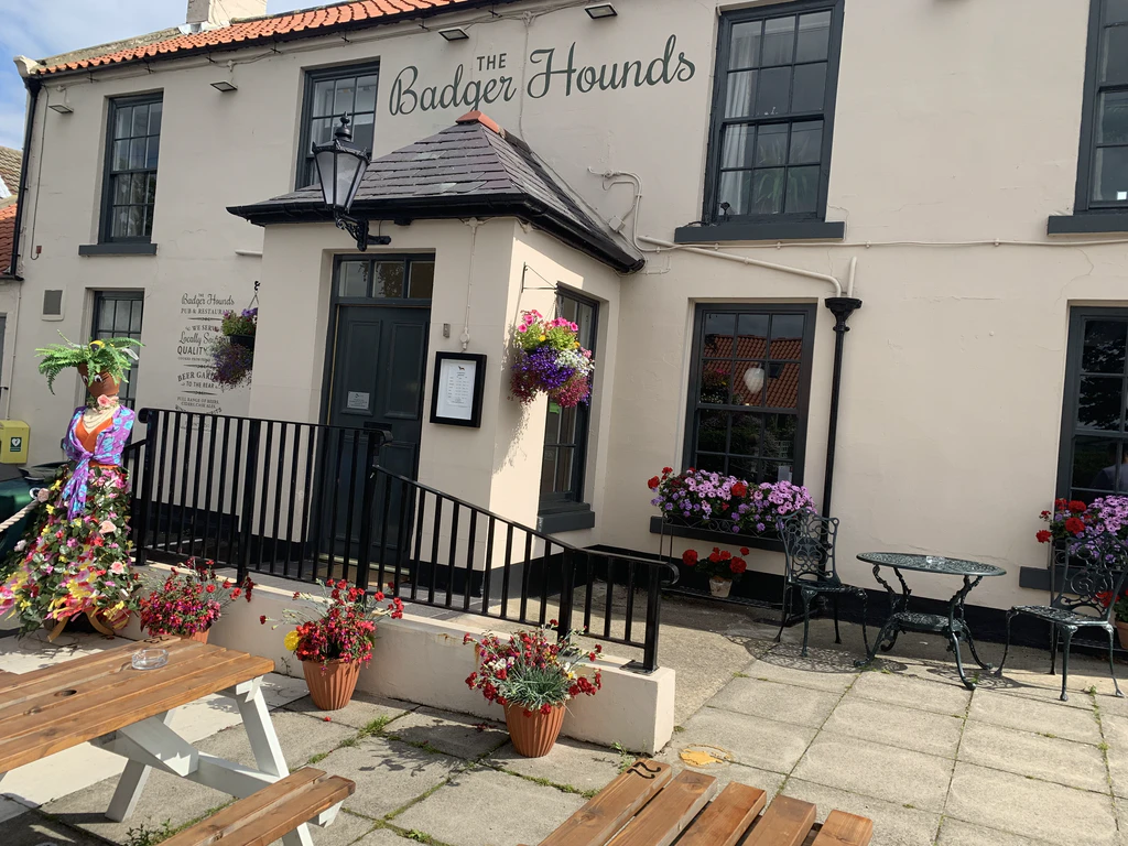 Badger Hounds, Saltburn-by-the-sea