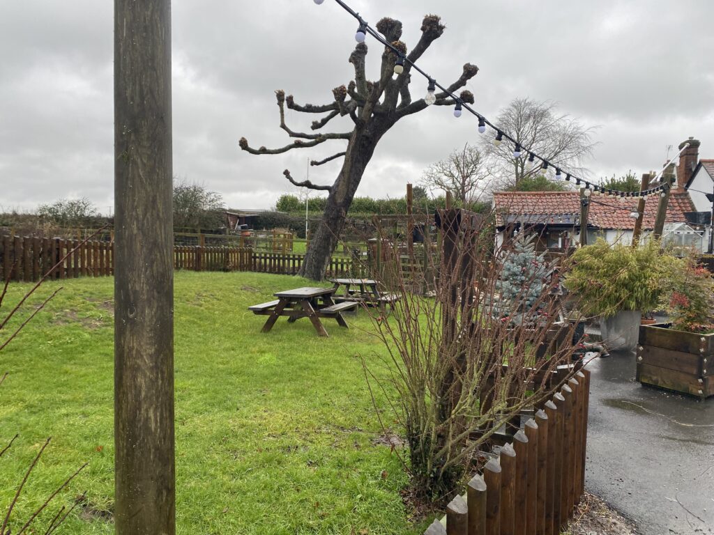 Black Lion, High Roding
