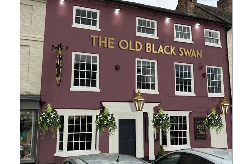 Old Black Swan
