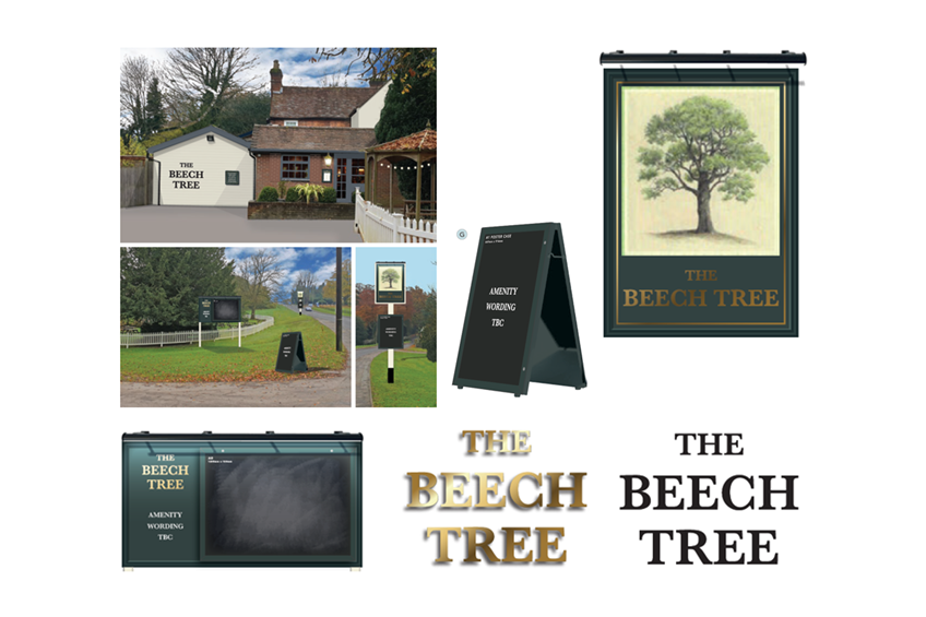 Beech Tree
