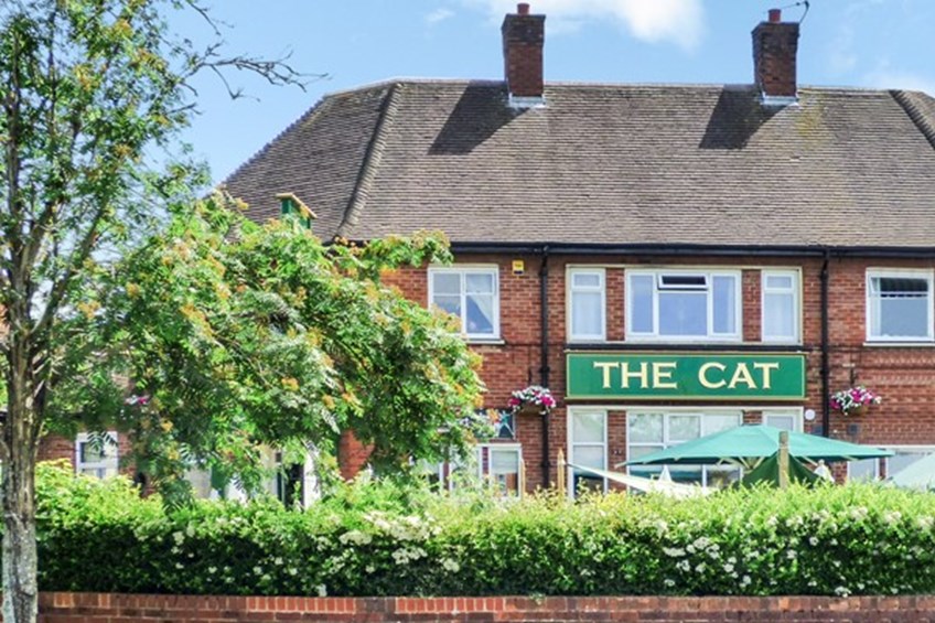 Cat Ellesmere Port